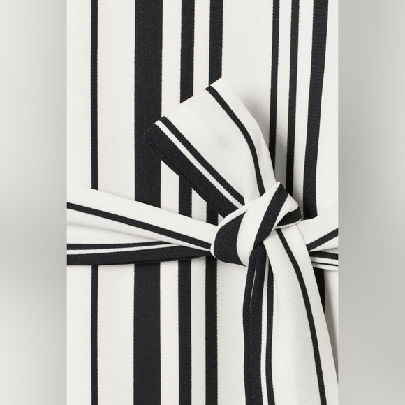 H&M | Shift Dress with Tie Belt  | Size: US 2 - Picture 4 of 9